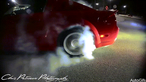 giphy.gif