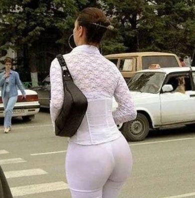 taxi_chien.jpg