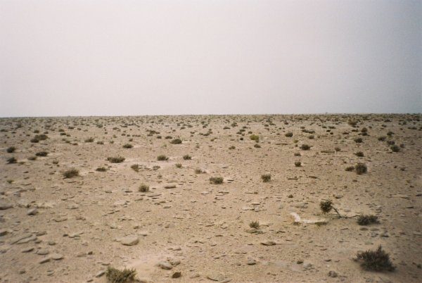 Western_Sahara_desert_1.jpg