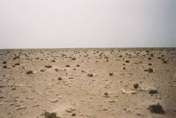 Western_Sahara_desert_1.jpg Western_Sahara_desert_1.jpg