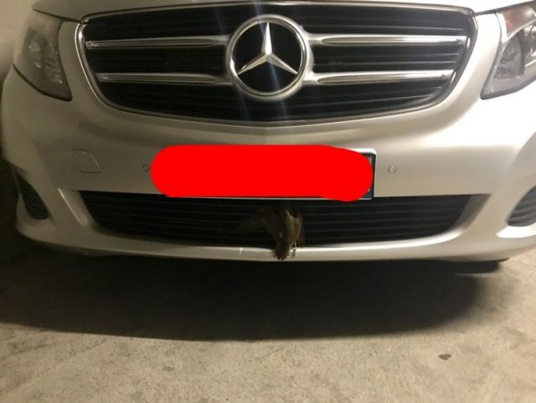 IMG_0211.JPG IMG_0211.JPG