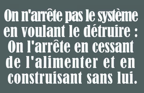 IMG_0372.PNG IMG_0372.PNG