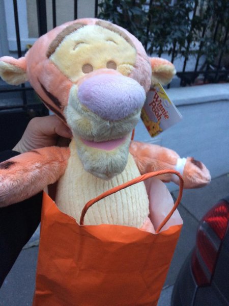 IMG-20181018-WA0000.jpg IMG-20181018-WA0000.jpg