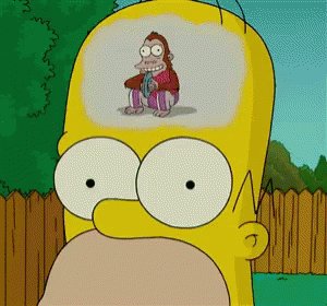 Omer.gif