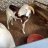 Lexou_31