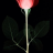 Farid9292